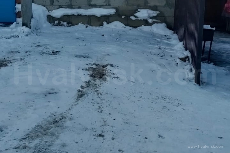 Дом на ул. Школьная 8 Фото-875